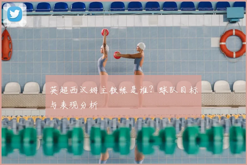 英超西汉姆主教练是谁？球队目标与表现分析