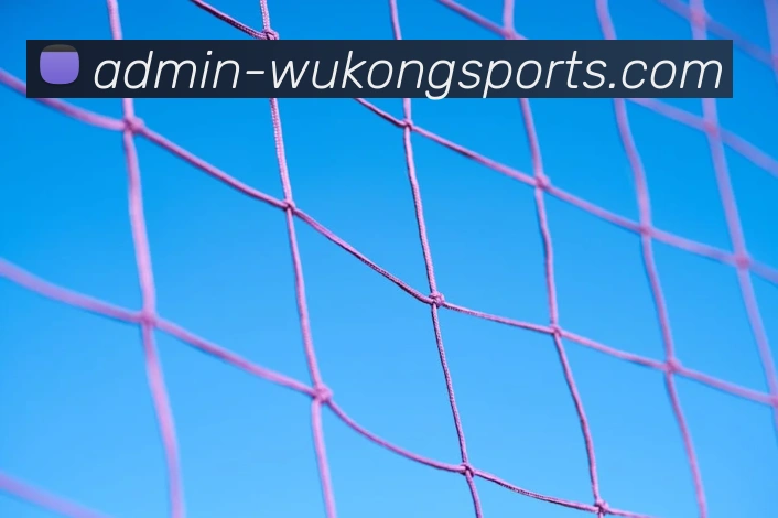 悟空体育APP 体育赛事宣传图